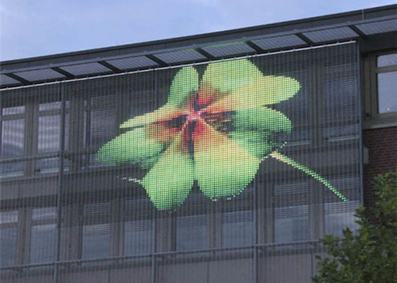 높은 광도 옥외 투명한 발광 다이오드 표시 스크린 500mm x 1000mm 내각